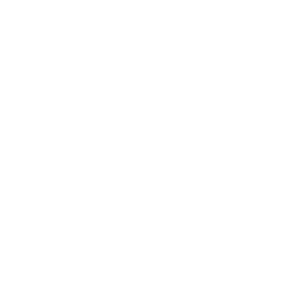 Phone Icon